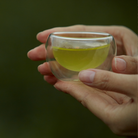 【再入荷待ち】煎茶 初級 和撰り(わえり)